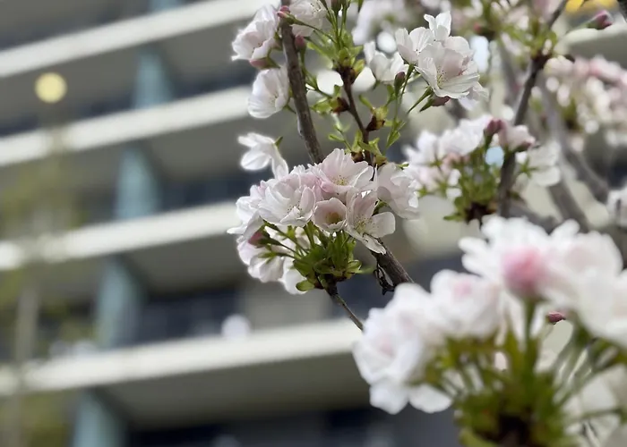Japandi Studio Apartment, Free Parking